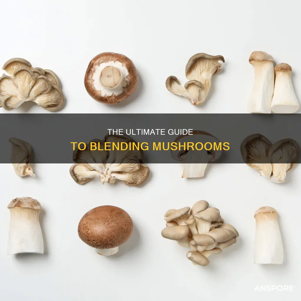 how to blend mushrooms