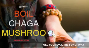 The Perfect Way to Boil Chaga Mushrooms