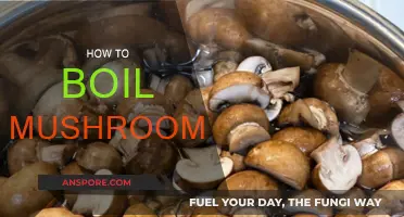 The Perfect Boil: Mushroom Mastery