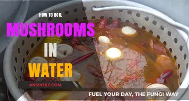 Boiling Mushrooms: Quick and Easy Steps