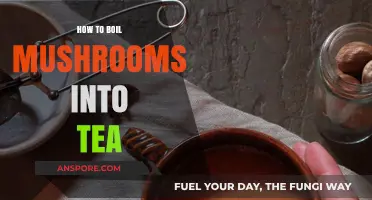 Mushroom Tea: Boil for a Healthy Brew