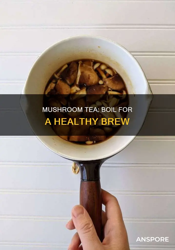 how to boil mushrooms into tea