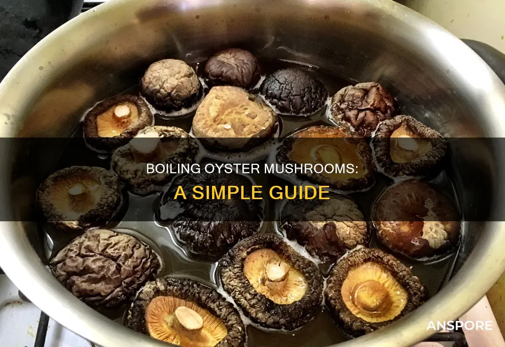 how to boil oyster mushrooms
