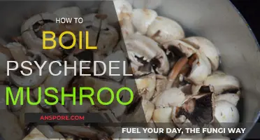The Ultimate Guide to Boiling Psychedelic Mushrooms