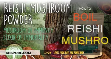 The Ultimate Guide to Boiling Reishi Mushrooms
