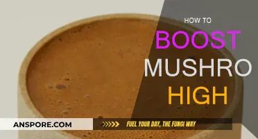 Enhancing Your Mushroom High: Tips and Tricks