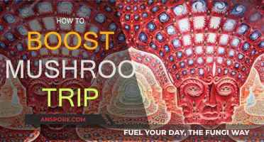 Enhancing Your Mushroom Trip: Techniques for a Stronger Experience