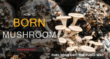 Grow Your Own Mushrooms: A Step-by-Step Guide