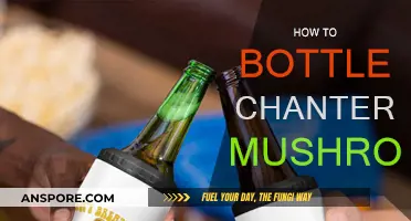 Preserving Chanterelles: Bottling Foraged Fungi