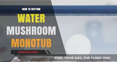 Bottom-Watering Your Mushroom Monotub: A Step-by-Step Guide