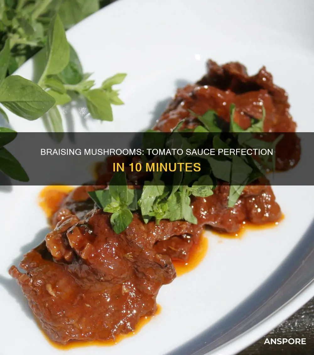 how to braise mushrooms in stomato auce