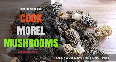 Mastering Morel Mushrooms: Breaded and Cooked to Perfection