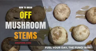 Breaking Mushroom Stems: Easy and Efficient Techniques