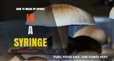 Effective Techniques for Breaking Up Spores in a Syringe Safely