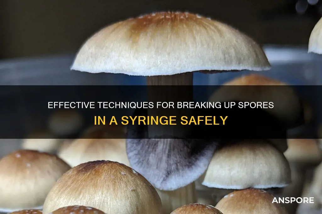 how to break up spores in a syringe
