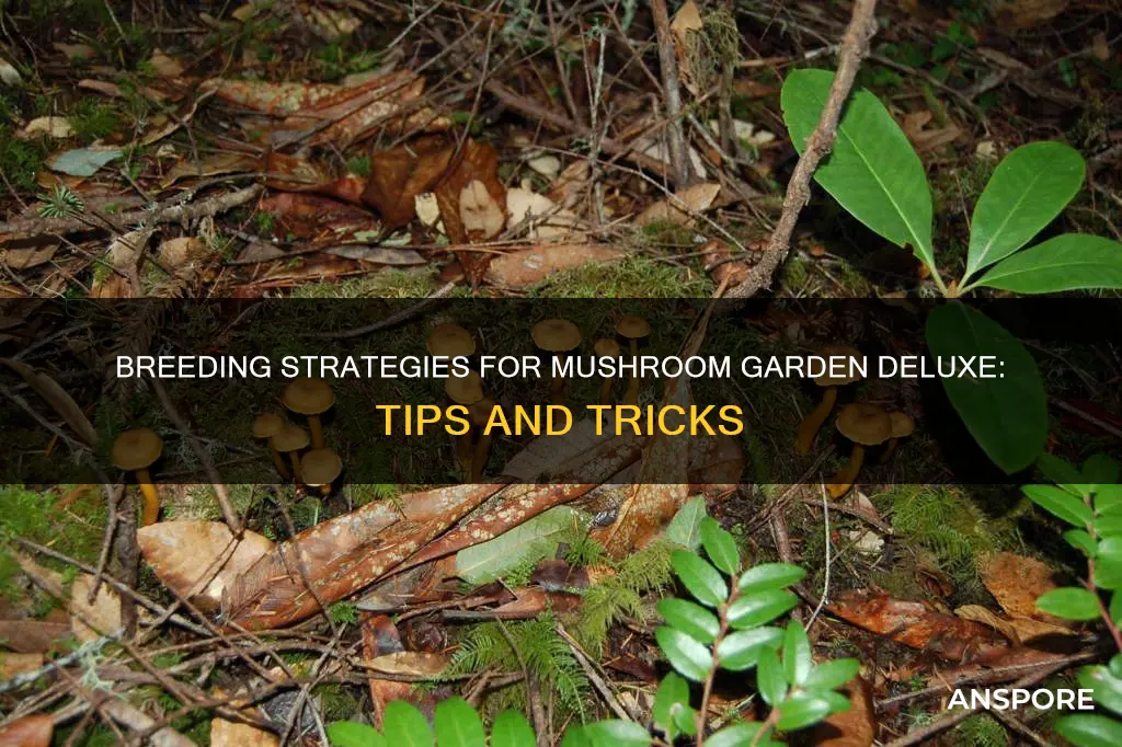 how to breed in mushroom garden deluxe