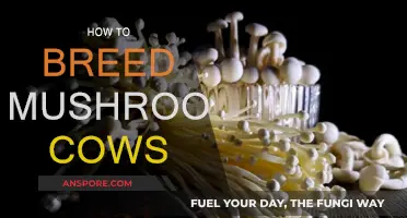Breeding Mushroom Cows: A Step-by-Step Guide