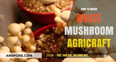 Breeding White Mushrooms: The Agricraft Guide