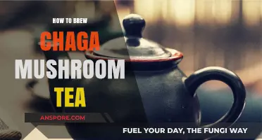 Brewing Chaga Mushroom Tea: A Beginner's Guide
