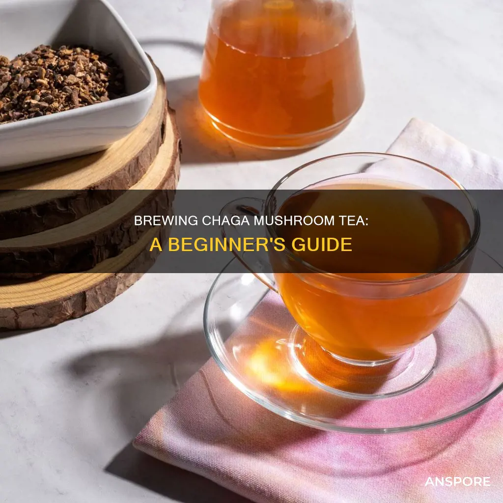 how to brew chaga mushroom tea