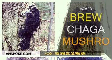 Brewing Chaga Mushroom: A Step-by-Step Guide