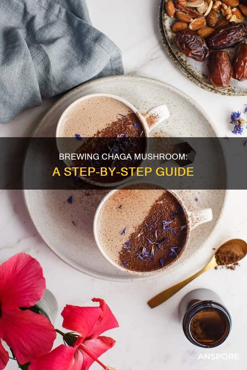 how to brew chaga mushroom