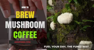 Mushroom Coffee: Brew Your Daily Dose of Magic