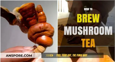 Brewing Mushroom Tea: A Step-by-Step Guide