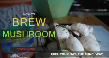 Brewing Magic: Mushroom Tea Techniques