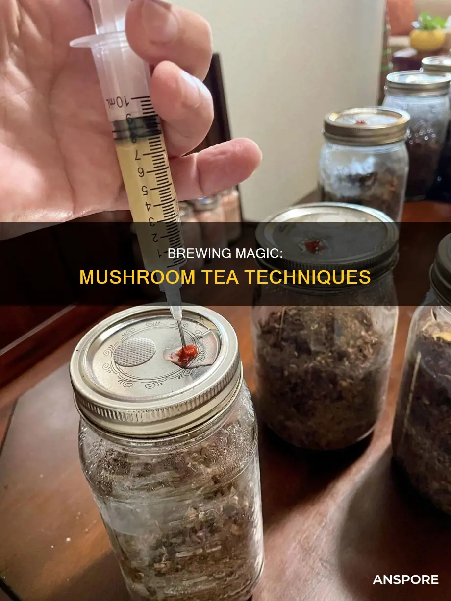 how to brew mushrooms