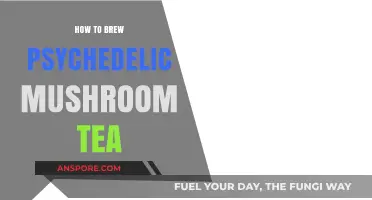 Brewing Magic: A Guide to Psychedelic Mushroom Tea