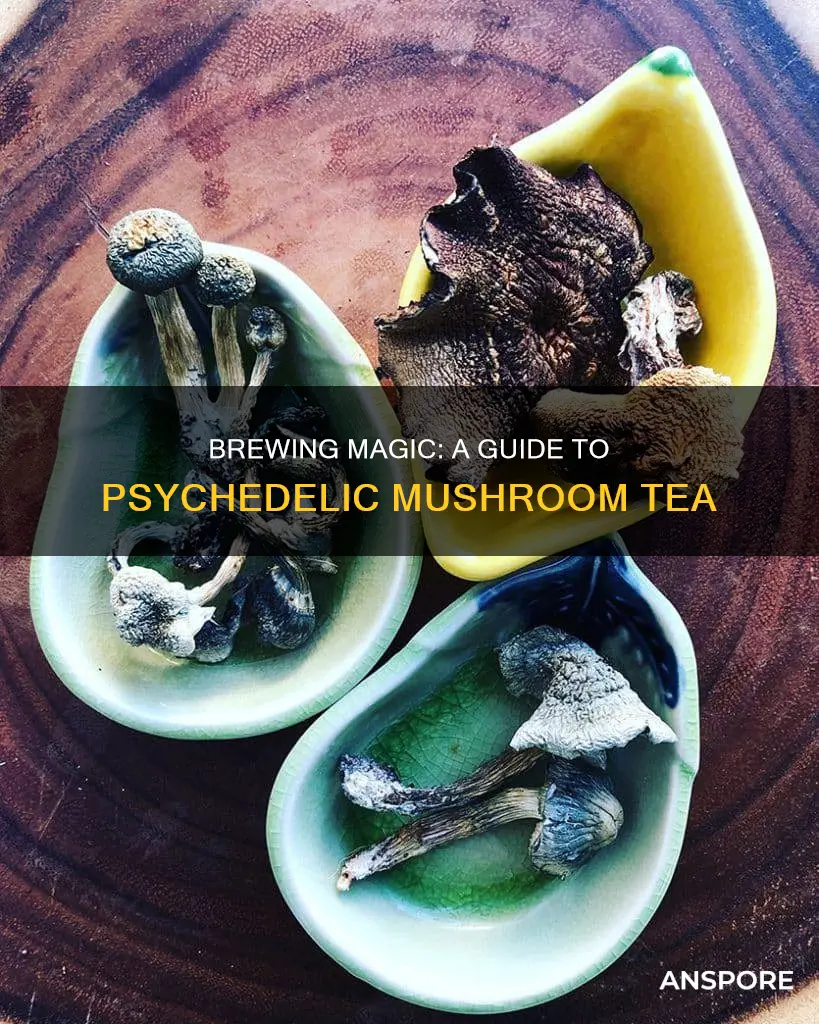 how to brew psychedelic mushroom tea