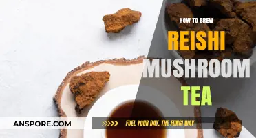 Brewing Reishi Tea: A Beginner's Guide