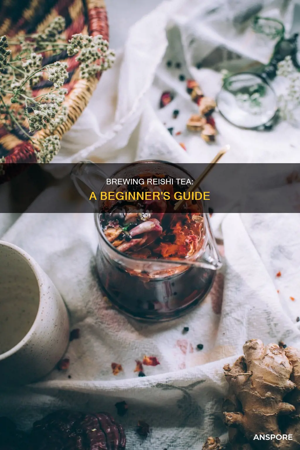 how to brew reishi mushroom tea