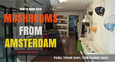 Traveling with Mushrooms: Amsterdam to Home