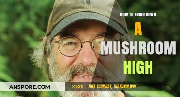 Calming the Mushroom High: Quick and Easy Methods