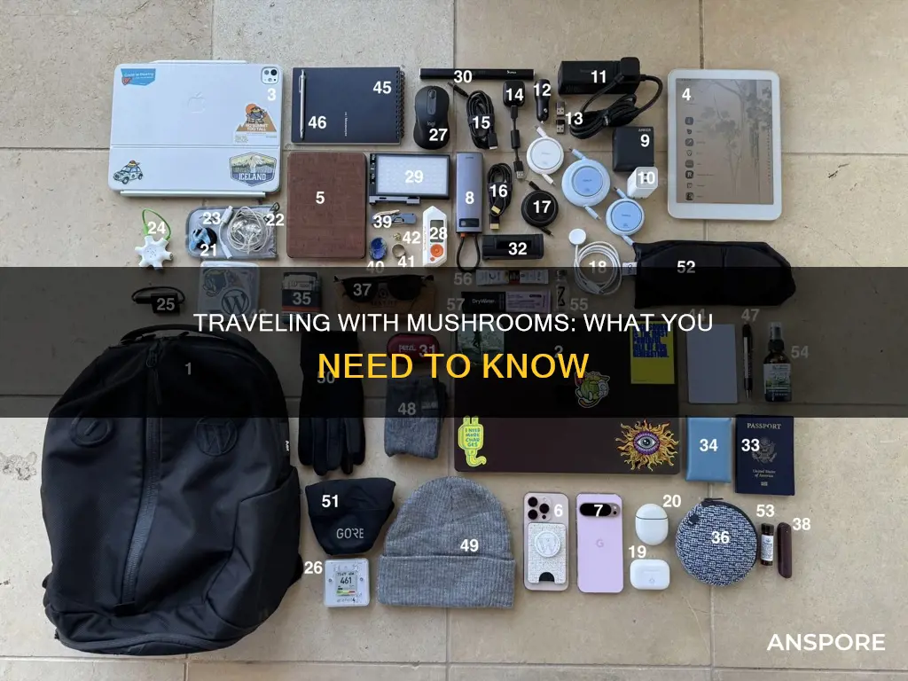 how to bring mushrooms on a flight