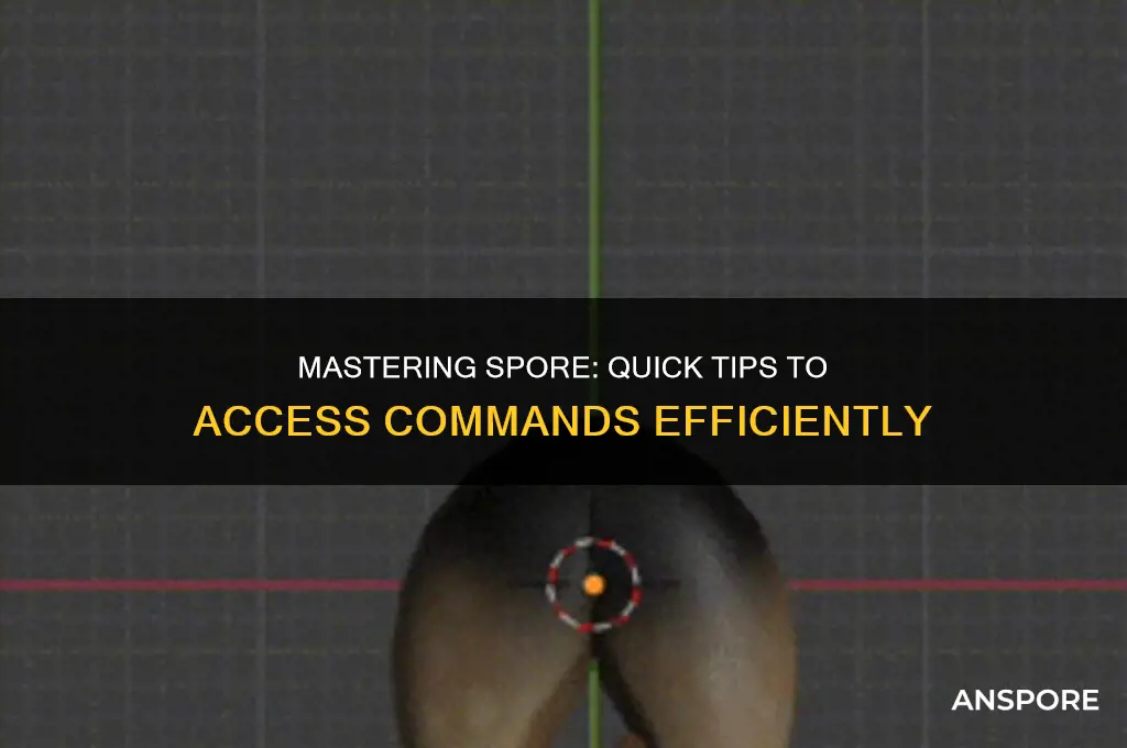 how to bring up commands in spore