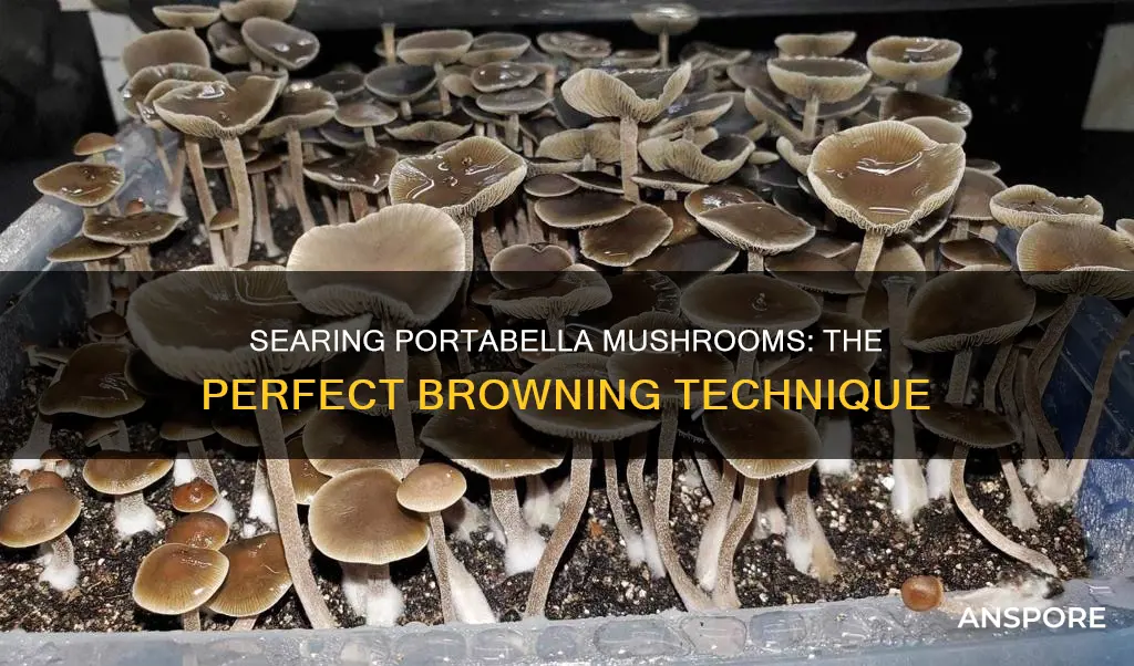 how to brown sliced of portabella mushrooms
