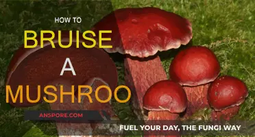 The Art of Bruising Mushrooms: A Simple Guide