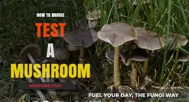 Testing Mushrooms: The Bruise Test Guide