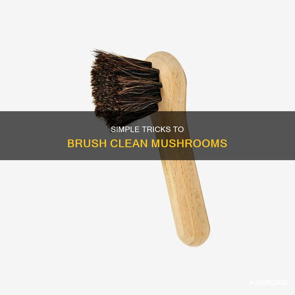 how to brush clean mushrooms