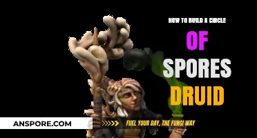 Mastering the Circle of Spores Druid: A Comprehensive Build Guide