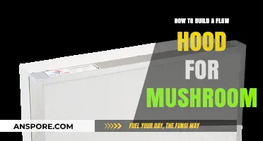 Creating a Mushroom Flow Hood: DIY Guide