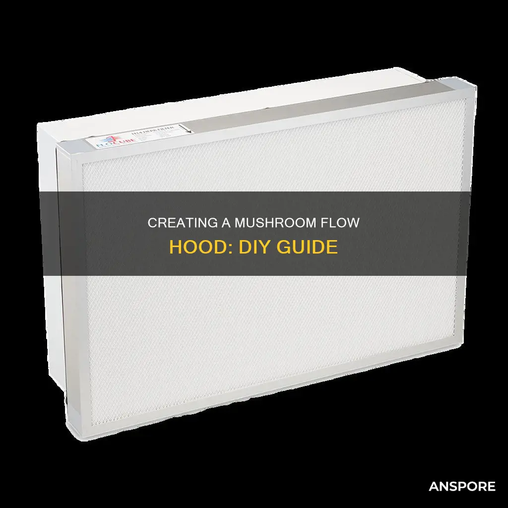 how to build a flow hood for mushrooms