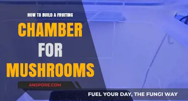 Build a Mushroom Fruiting Chamber: A Step-by-Step Guide