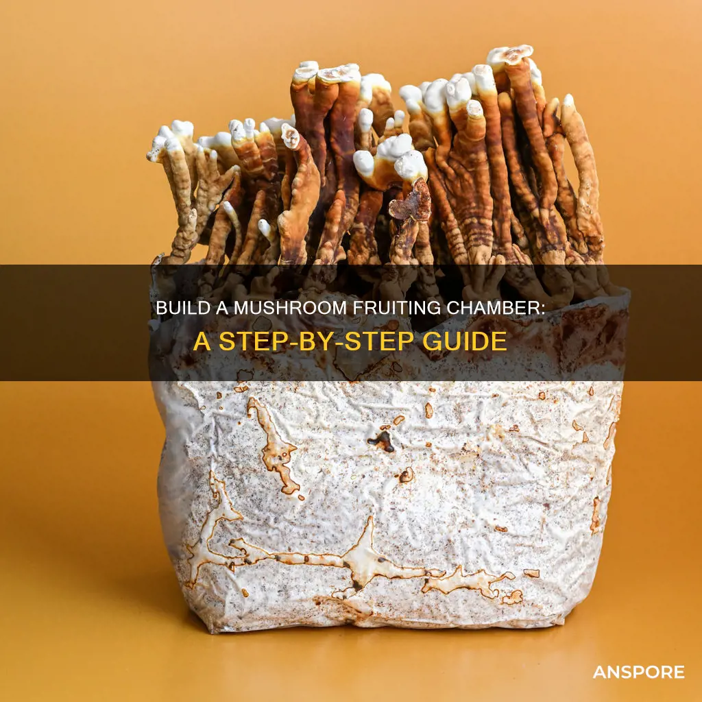 how to build a fruiting chamber for mushrooms