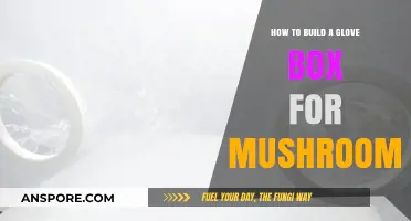 Constructing a Mushroom Glove Box: A Step-by-Step Guide