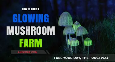 Creating a Glowing Mushroom Farm: DIY Guide