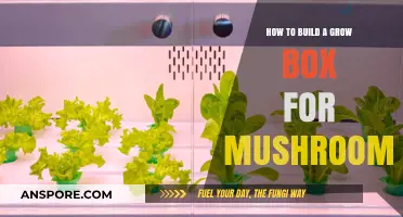DIY Mushroom Grow Box: Step-by-Step Guide for Beginners